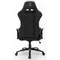 Крісло для геймерів Aula F1029 Gaming Chair Black (6948391286174)
