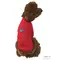 Гольф Dogs Bomba з люрексом червоний Y-186 Гольф Dogs Bomba з люрексом червоний Y-186