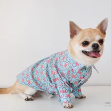 Сорочка Dogs Bomba Мiкi бірюзова 2