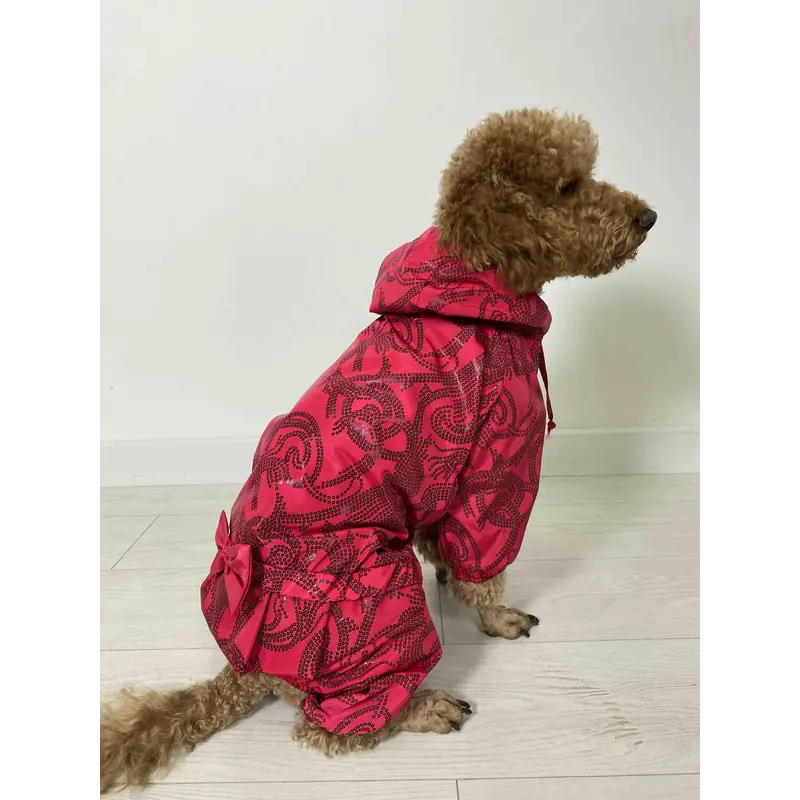 Дощовик ДЛЯ ДIВЧАТ візерунки малиновий MD-11