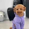 Костюм Dogs Bomba з кишенею фіолет D-142