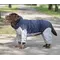 Дощовик для великих собак синiй з сiрим MB-2