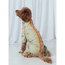 Дощовик для такс кант оливка MT-28