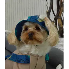 Панамка джинс серця S-58