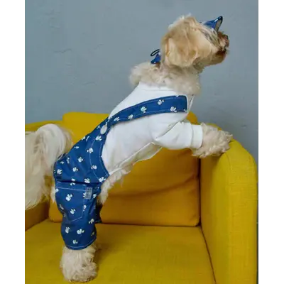 Костюм із лямками джинс панди D-213