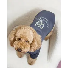 Толстовка Кураж сіра Y-377