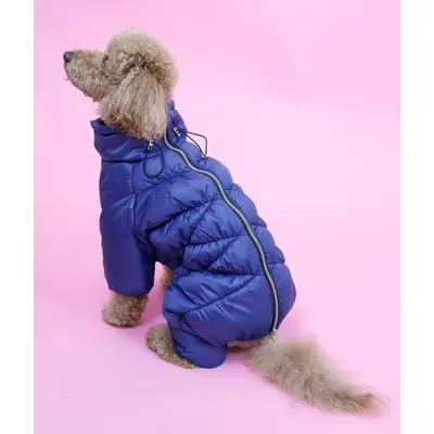 Зимовий комбінезон Comfort NEW синій R-69