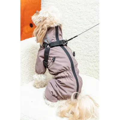 Дощовик зі шлеєю капучино MS-14