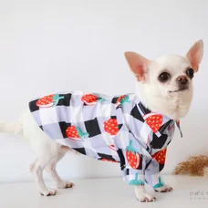 Сорочка Dogs Bomba клiтинка з полуницею RUB-41