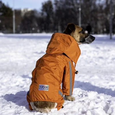 Дощовик на змійці Dogs Bomba оранж MZ-8