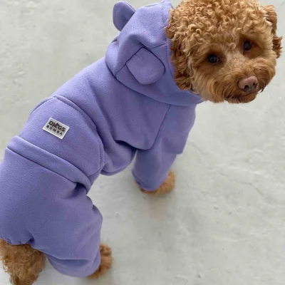 Костюм Dogs Bomba з кишенею фіолет D-142