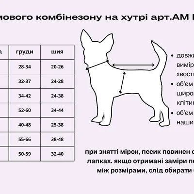 Зимовий комбінезон на хутрі Dogs Bomba смарагдовий 2