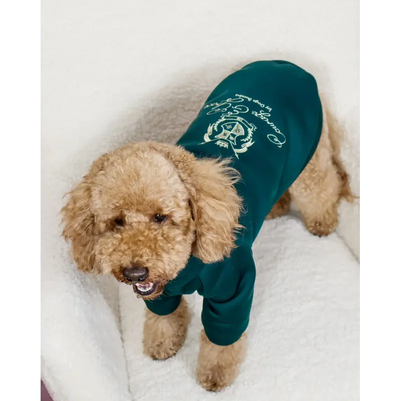 Толстовка Кураж смарагд Y-375