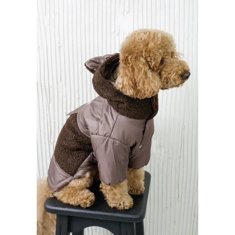 Куртка Teddy шоколад K-99