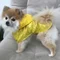 Дощовик плащ Dogs Bomba жовтий M-42