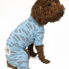 Костюм сітка Dogs Bomba блакитний D-66