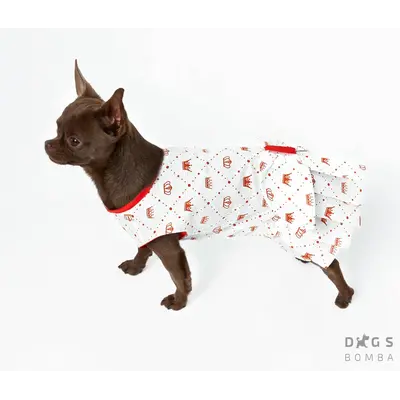 Футболка Dogs Bomba корони O-80