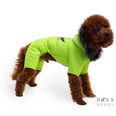 Зимовий комбінезон DB салатовий A-43