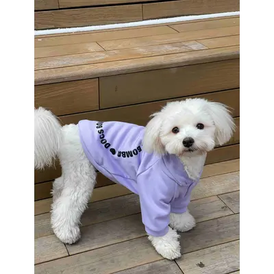 Толстовка DB коло лаванда Y-272