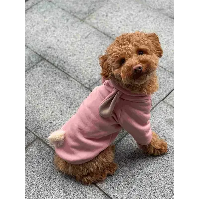 Толстовка Зайчик пудра Y-267 Толстовка Зайчик пудра Y-267