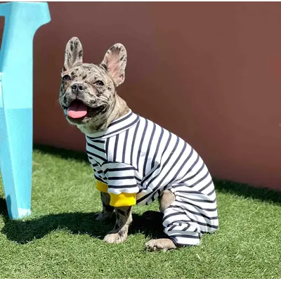 Костюм легкий смугастий D-159