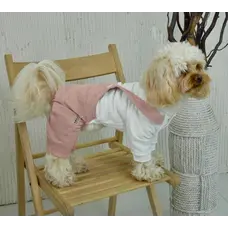 Костюм із лямками вельвет пудра D-209