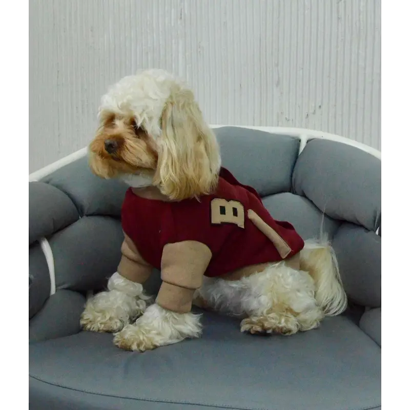 Бомбер марсала беж Y-370