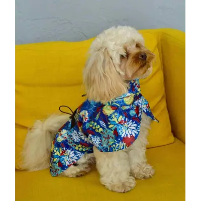 Дощовик плащ візерунки синій M-118