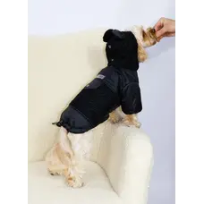 Куртка Teddy чорна K-98