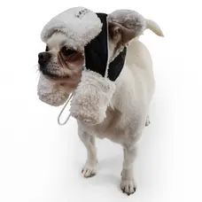 Шапка з вушками чорна S-99