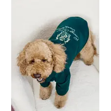 Толстовка Кураж смарагд Y-375