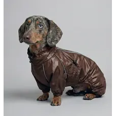 Дощовик для такс шоколад MT-34