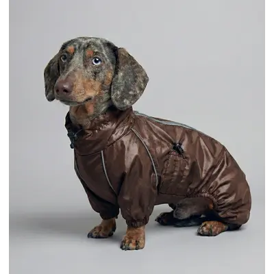 Дощовик для такс шоколад MT-34