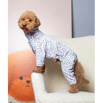 Костюм велюровий Лео сірий D-247