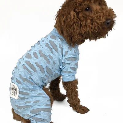 Костюм сітка Dogs Bomba блакитний D-66