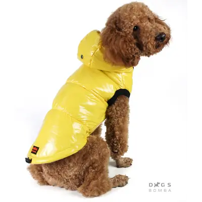 Жилет лакований жовтий G-43