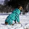 Дощовик на змійці Dogs Bomba бірюзовий MZ-6