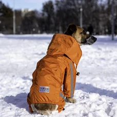 Дощовик на змійці Dogs Bomba оранж MZ-8