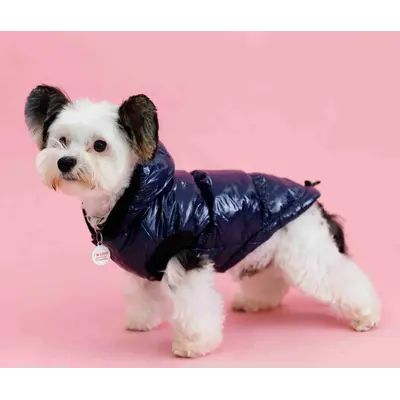 Жилет монклер синій G-83