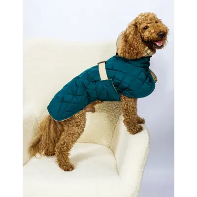 Жилет стежка двосторонній смарагд G-112