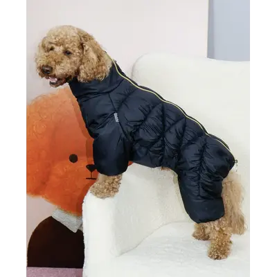 Зимовий комбінезон Comfort NEW чорний R-68