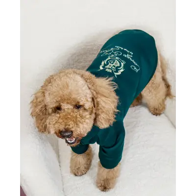 Толстовка Кураж смарагд Y-375