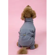 Костюм флiс Polar сірий D-234