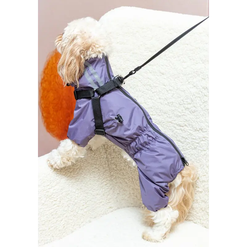 Дощовик зі шлеєю лаванда MS-15