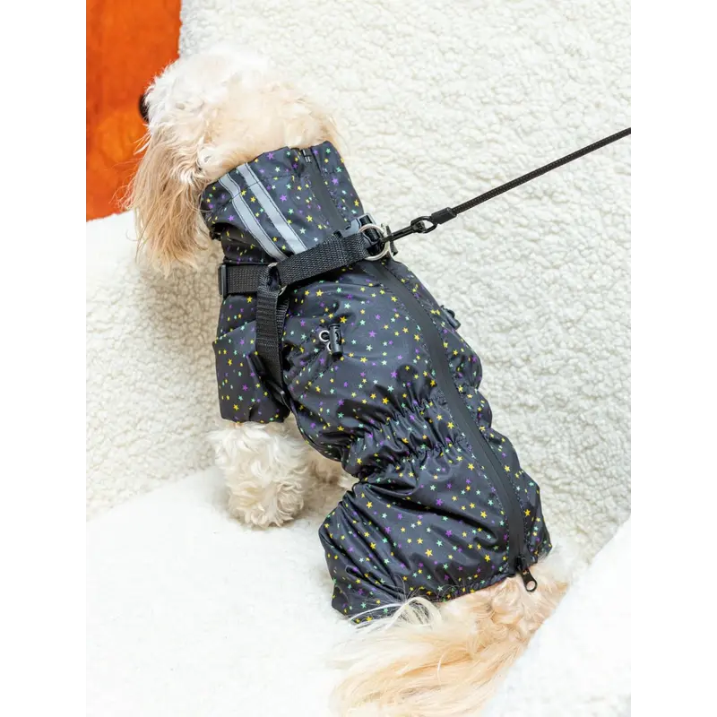 Дощовик зі шлеєю зірки MS-13