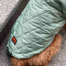 Жилет стежка Dogs Bomba м'ята G-69
