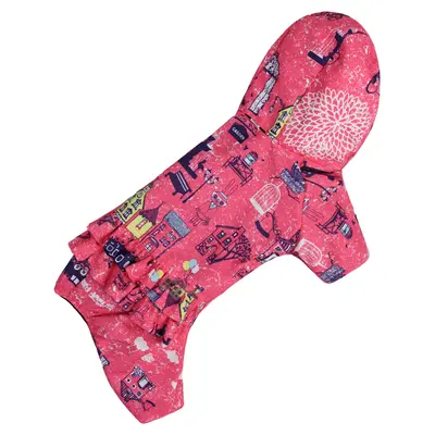 Дощовик ДЛЯ ДIВЧАТ рюша Париж MD-29