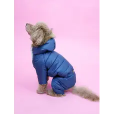 Зимовий комбінезон на хутрі петроль AM-41