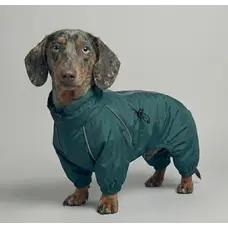 Дощовик для такс смарагд MT-31