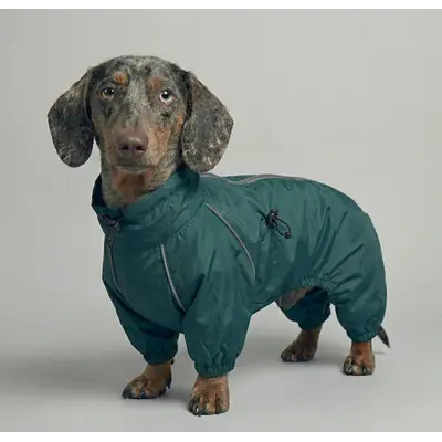 Дощовик для такс смарагд MT-31